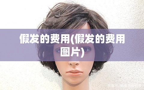 假发的费用(假发的费用图片) 假发的费用(假发的费用图片)