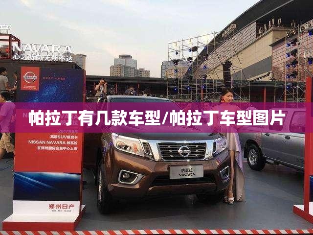 帕拉丁有几款车型/帕拉丁车型图片 帕拉丁有几款车型/帕拉丁车型图片