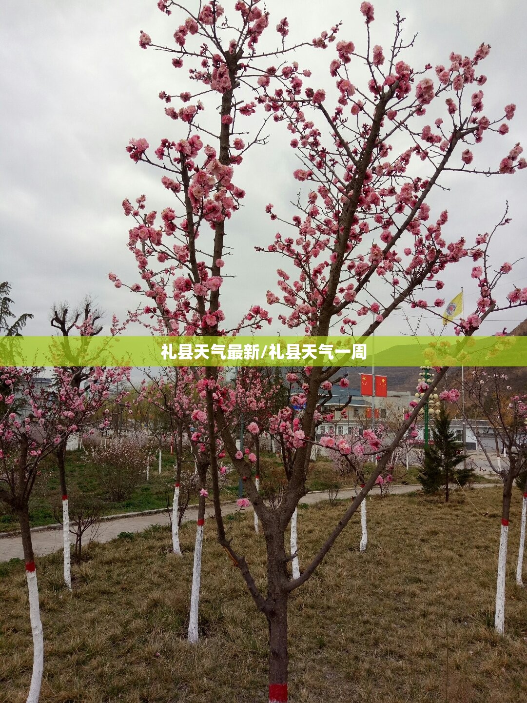 礼县天气最新/礼县天气一周 礼县天气最新/礼县天气一周