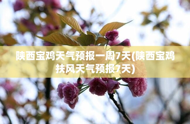 陕西宝鸡天气预报一周7天(陕西宝鸡扶风天气预报7天) 陕西宝鸡天气预报一周7天(陕西宝鸡扶风天气预报7天)