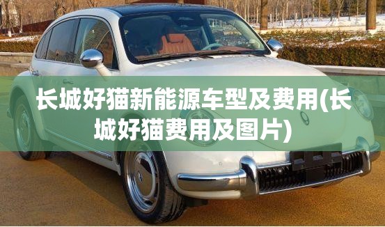 长城好猫新能源车型及费用(长城好猫费用及图片) 长城好猫新能源车型及费用(长城好猫费用及图片)
