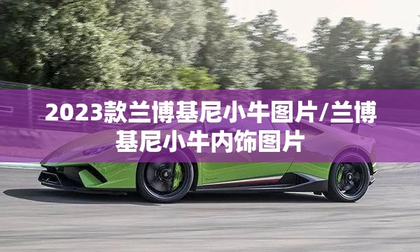 2023款兰博基尼小牛图片/兰博基尼小牛内饰图片 2023款兰博基尼小牛图片/兰博基尼小牛内饰图片