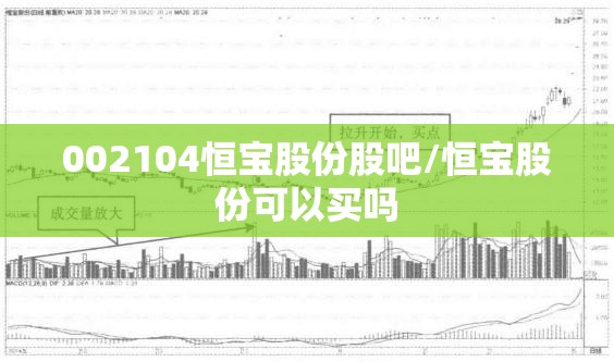 002104恒宝股份股吧/恒宝股份可以买吗 002104恒宝股份股吧/恒宝股份可以买吗