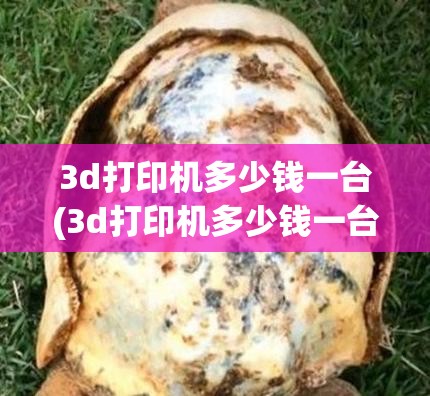 3d打印机多少钱一台(3d打印机多少钱一台最便宜) 3d打印机多少钱一台(3d打印机多少钱一台最便宜)