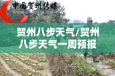 贺州八步天气/贺州八步天气一周预报 贺州八步天气/贺州八步天气一周预报