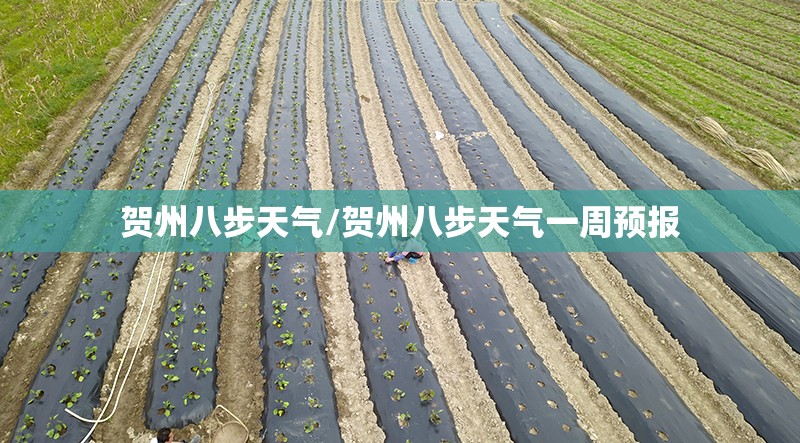 贺州八步天气/贺州八步天气一周预报 贺州八步天气/贺州八步天气一周预报