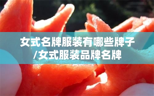 女式名牌服装有哪些牌子/女式服装品牌名牌 女式名牌服装有哪些牌子/女式服装品牌名牌
