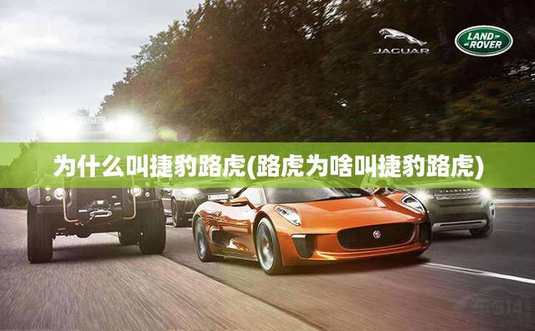 为什么叫捷豹路虎(路虎为啥叫捷豹路虎) 为什么叫捷豹路虎(路虎为啥叫捷豹路虎)