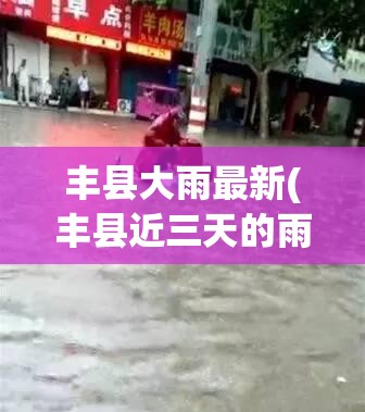 丰县大雨最新(丰县近三天的雨量) 丰县大雨最新(丰县近三天的雨量)