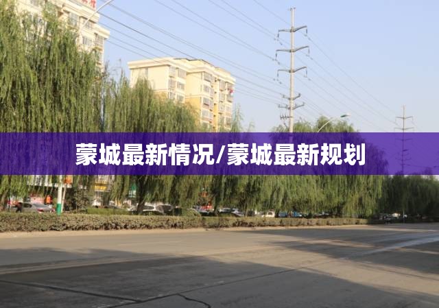 蒙城最新情况/蒙城最新规划 蒙城最新情况/蒙城最新规划
