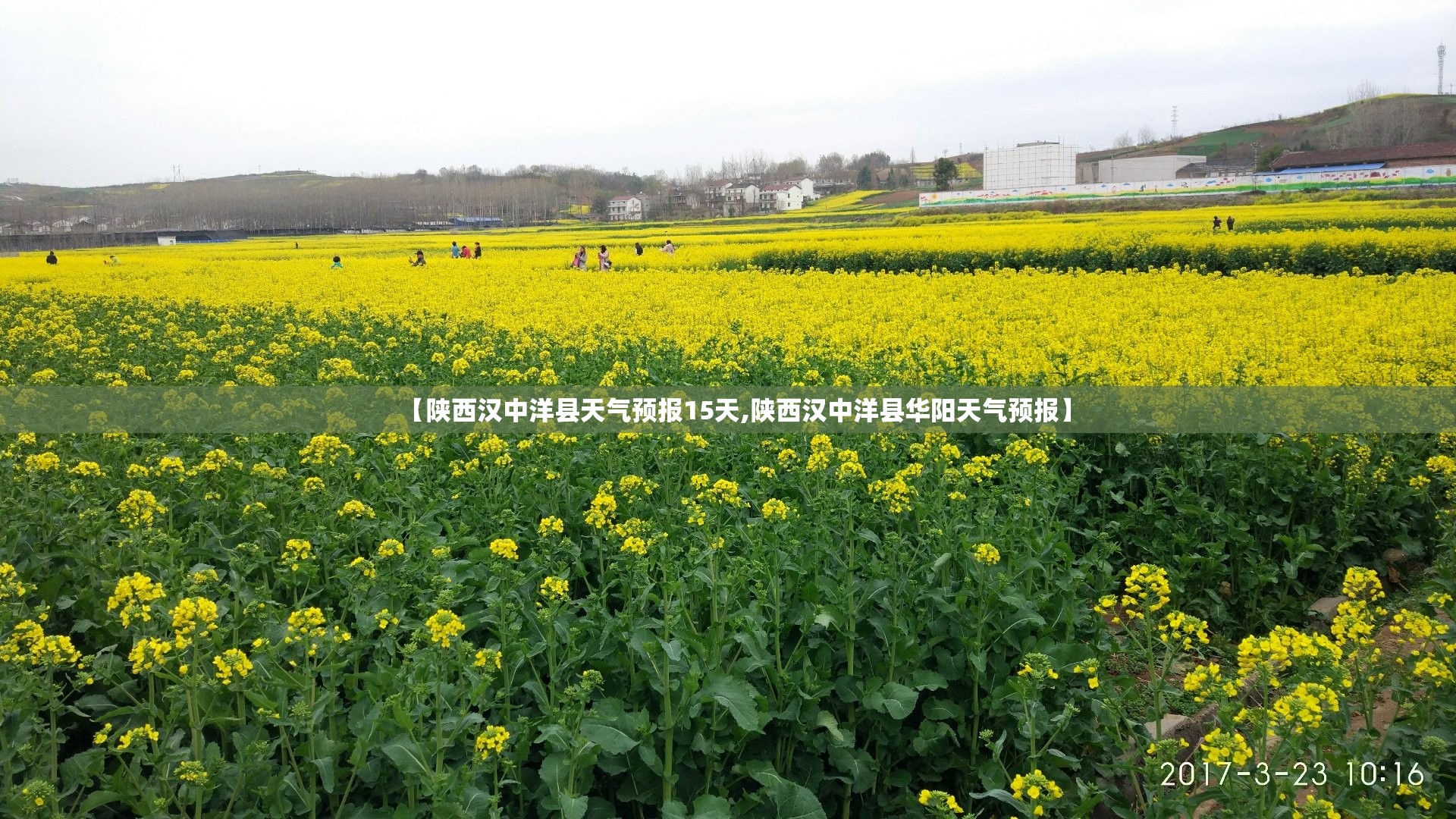 【陕西汉中洋县天气预报15天,陕西汉中洋县华阳天气预报】 【陕西汉中洋县天气预报15天,陕西汉中洋县华阳天气预报】