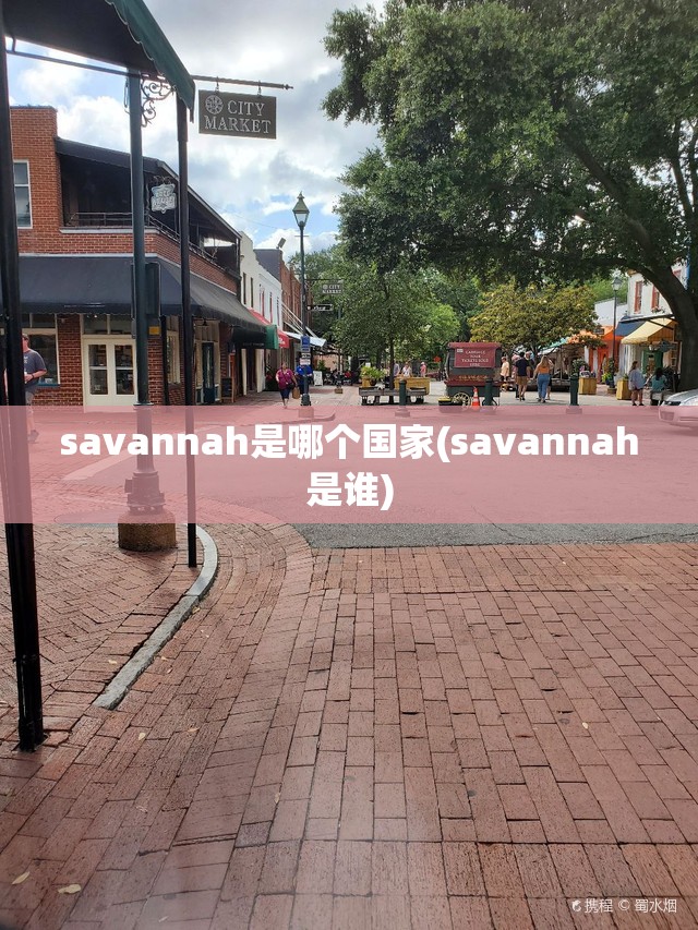 savannah是哪个国家(savannah是谁) savannah是哪个国家(savannah是谁)