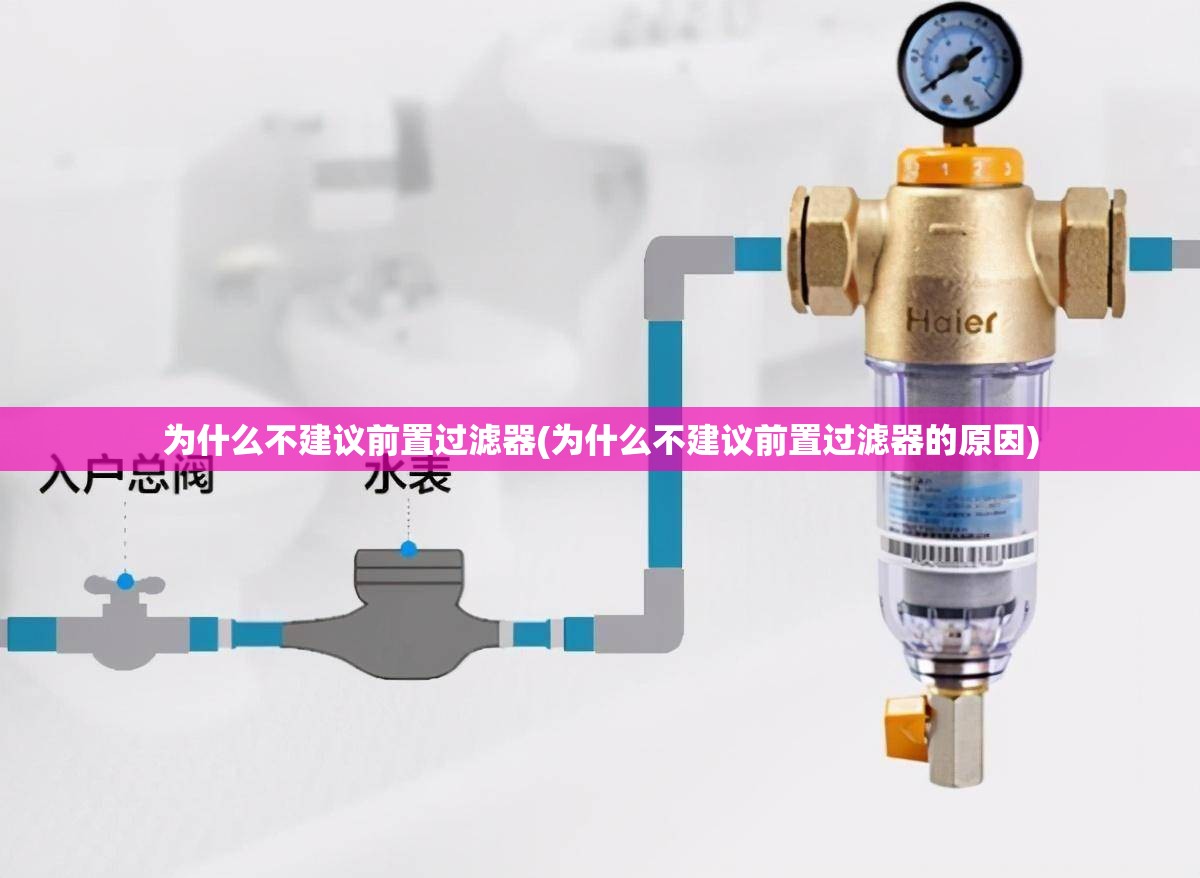 为什么不建议前置过滤器(为什么不建议前置过滤器的原因) 为什么不建议前置过滤器(为什么不建议前置过滤器的原因)