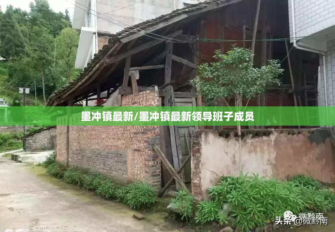 墨冲镇最新/墨冲镇最新领导班子成员 墨冲镇最新/墨冲镇最新领导班子成员