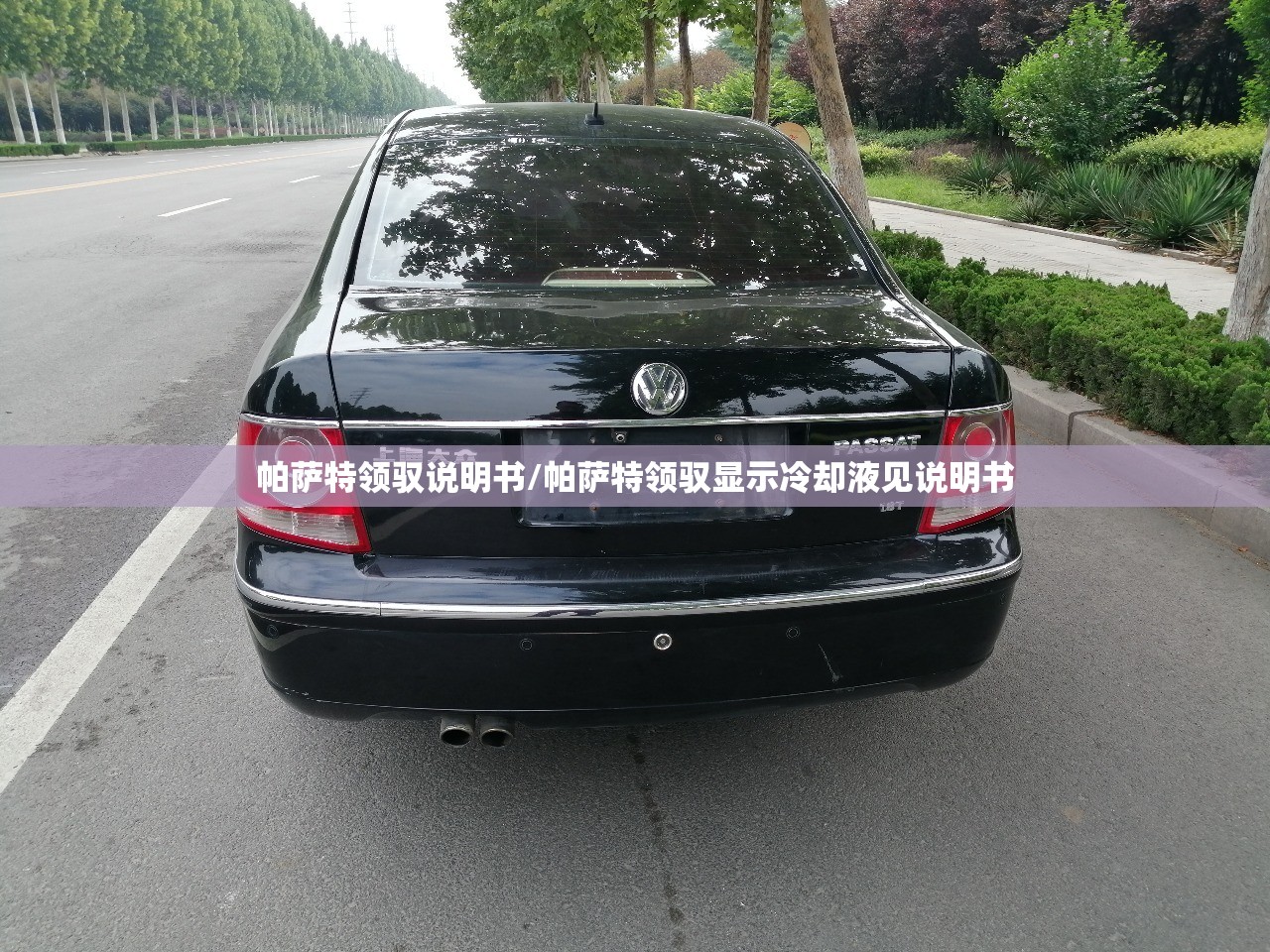 帕萨特领驭说明书/帕萨特领驭显示冷却液见说明书 帕萨特领驭说明书/帕萨特领驭显示冷却液见说明书