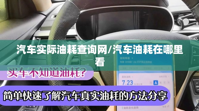 汽车实际油耗查询网/汽车油耗在哪里看 汽车实际油耗查询网/汽车油耗在哪里看