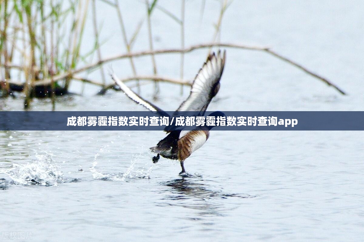 成都雾霾指数实时查询/成都雾霾指数实时查询app 成都雾霾指数实时查询/成都雾霾指数实时查询app