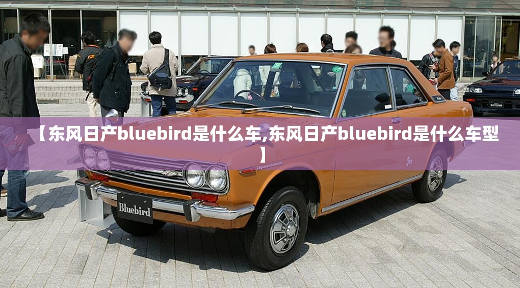 【东风日产bluebird是什么车,东风日产bluebird是什么车型】 【东风日产bluebird是什么车,东风日产bluebird是什么车型】