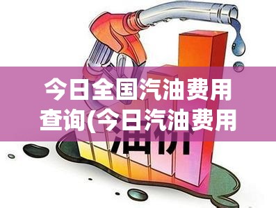 今日全国汽油费用查询(今日汽油费用查询92号) 今日全国汽油费用查询(今日汽油费用查询92号)