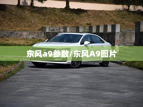 东风a9参数/东风A9图片 东风a9参数/东风A9图片