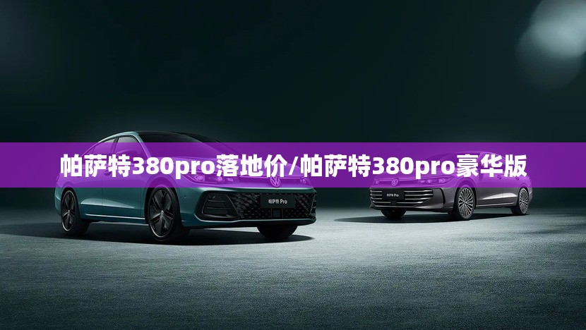 帕萨特380pro落地价/帕萨特380pro豪华版 帕萨特380pro落地价/帕萨特380pro豪华版