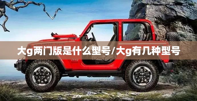 大g两门版是什么型号/大g有几种型号