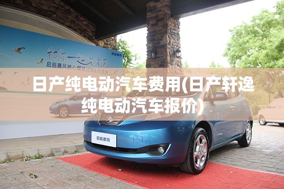 日产纯电动汽车费用(日产轩逸纯电动汽车报价)