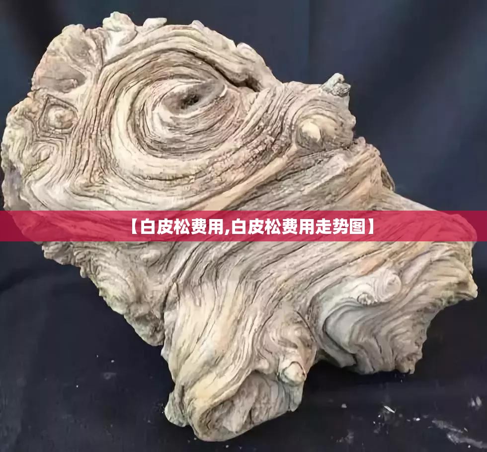 【白皮松费用,白皮松费用走势图】 【白皮松费用,白皮松费用走势图】