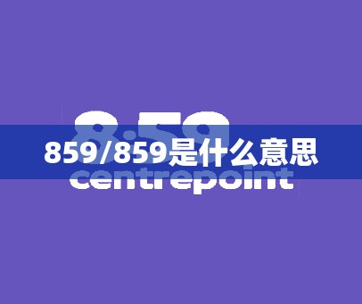 859/859是什么意思