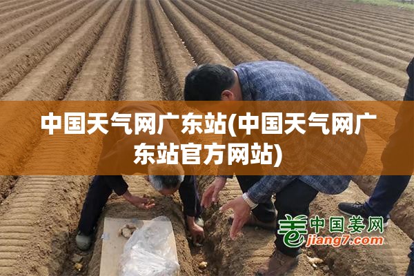 中国天气网广东站(中国天气网广东站官方网站)