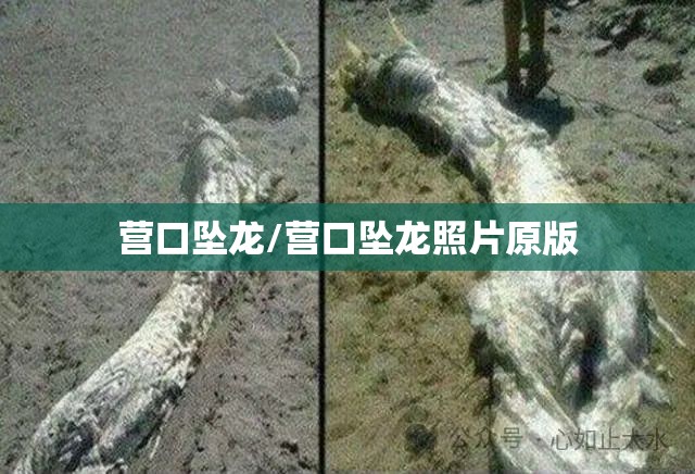 营口坠龙/营口坠龙照片原版 营口坠龙/营口坠龙照片原版
