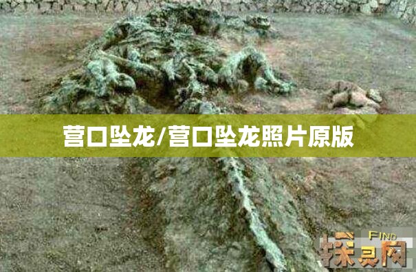营口坠龙/营口坠龙照片原版 营口坠龙/营口坠龙照片原版