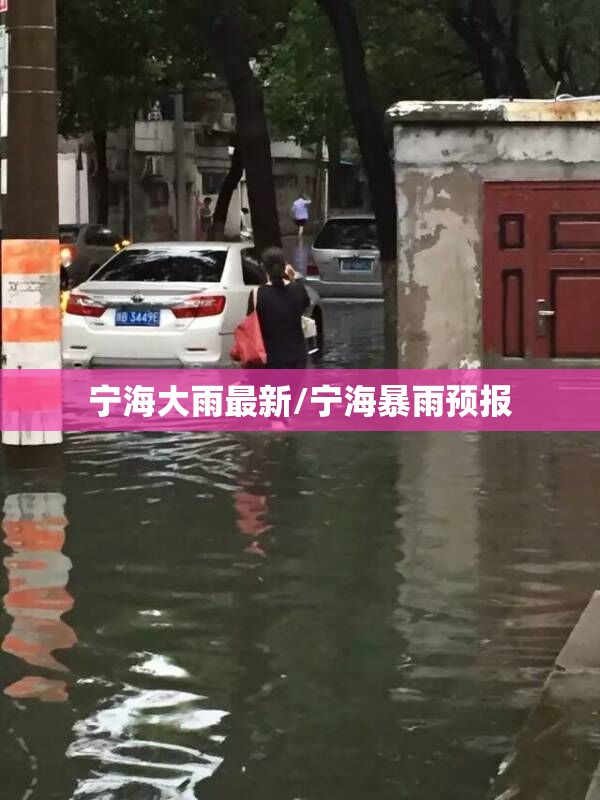 宁海大雨最新/宁海暴雨预报 宁海大雨最新/宁海暴雨预报