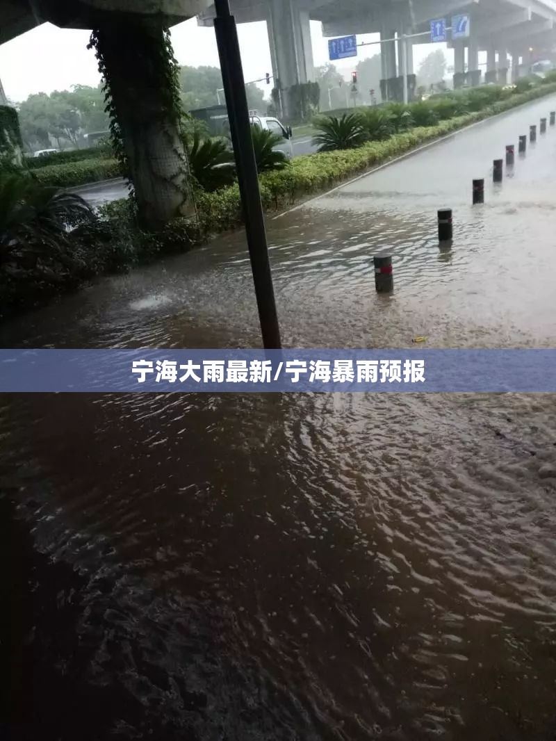 宁海大雨最新/宁海暴雨预报 宁海大雨最新/宁海暴雨预报