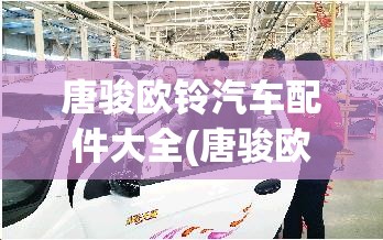唐骏欧铃汽车配件大全(唐骏欧铃自卸车)