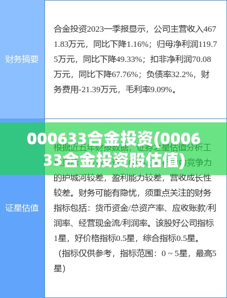 000633合金投资(000633合金投资股估值)
