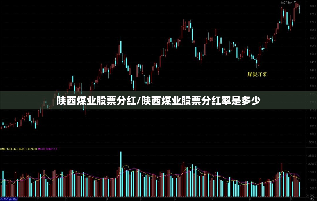 陕西煤业股票分红/陕西煤业股票分红率是多少 陕西煤业股票分红/陕西煤业股票分红率是多少