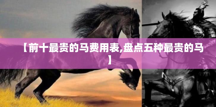 【前十最贵的马费用表,盘点五种最贵的马】 【前十最贵的马费用表,盘点五种最贵的马】