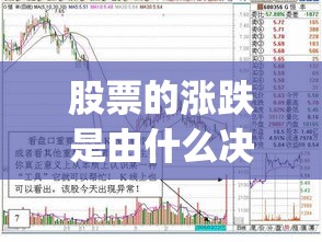 股票的涨跌是由什么决定(股票的涨跌是根据什么来计算的) 股票的涨跌是由什么决定(股票的涨跌是根据什么来计算的)