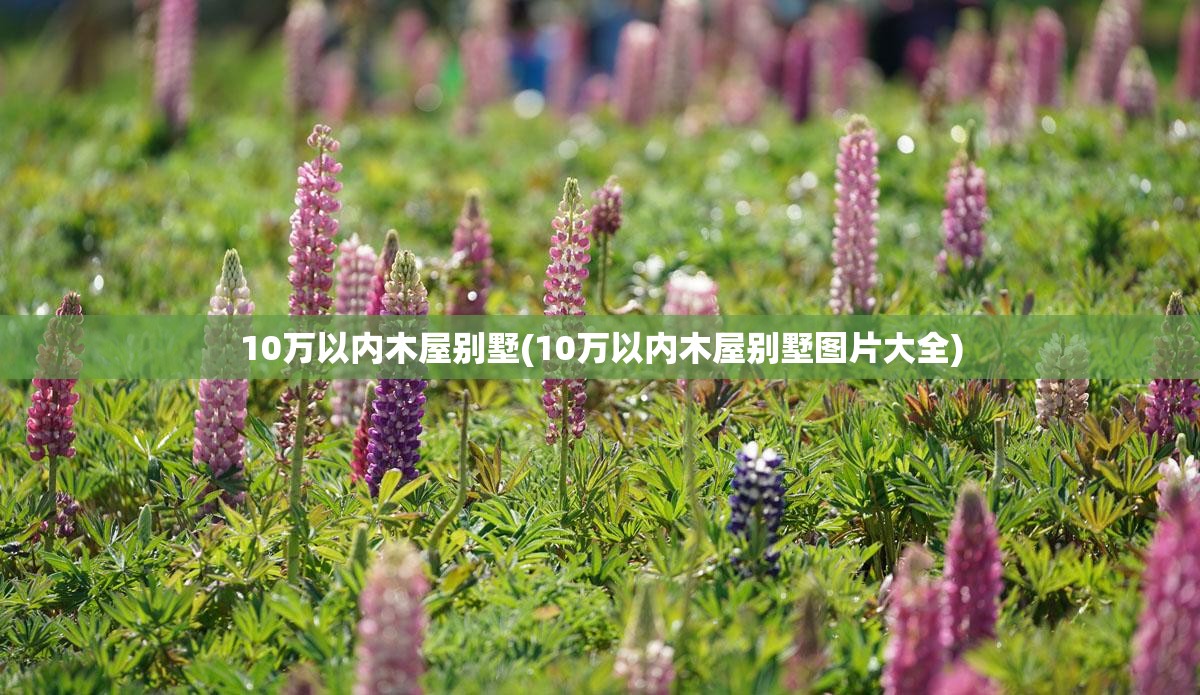 10万以内木屋别墅(10万以内木屋别墅图片大全)