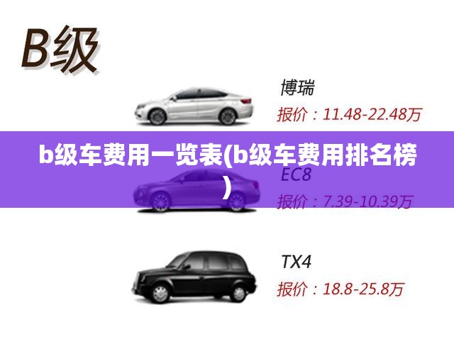 b级车费用一览表(b级车费用排名榜) b级车费用一览表(b级车费用排名榜)