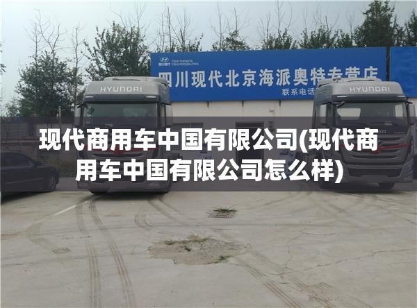 现代商用车中国有限公司(现代商用车中国有限公司怎么样)