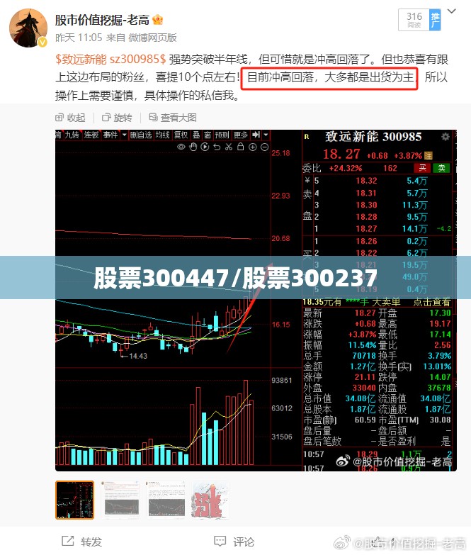 股票300447/股票300237