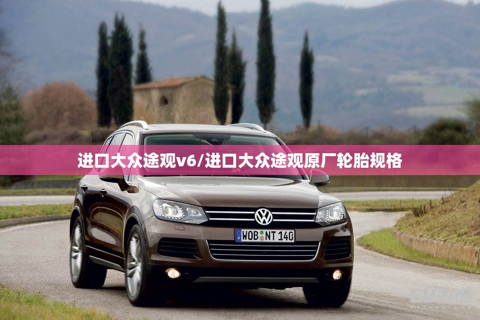 进口大众途观v6/进口大众途观原厂轮胎规格 进口大众途观v6/进口大众途观原厂轮胎规格