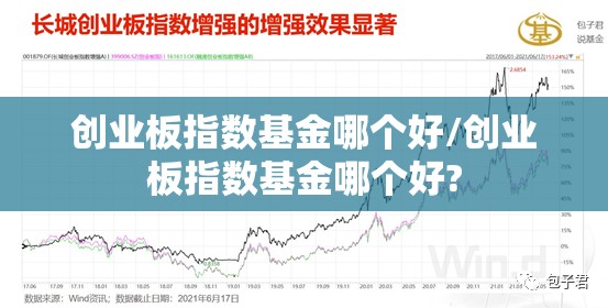 创业板指数基金哪个好/创业板指数基金哪个好? 创业板指数基金哪个好/创业板指数基金哪个好?