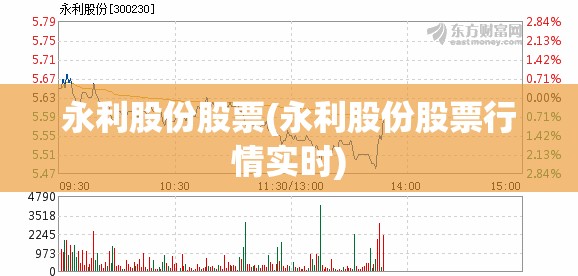 永利股份股票(永利股份股票行情实时)