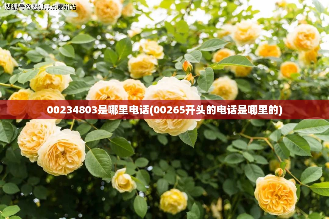 00234803是哪里电话(00265开头的电话是哪里的) 00234803是哪里电话(00265开头的电话是哪里的)