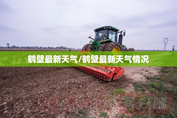 鹤壁最新天气/鹤壁最新天气情况