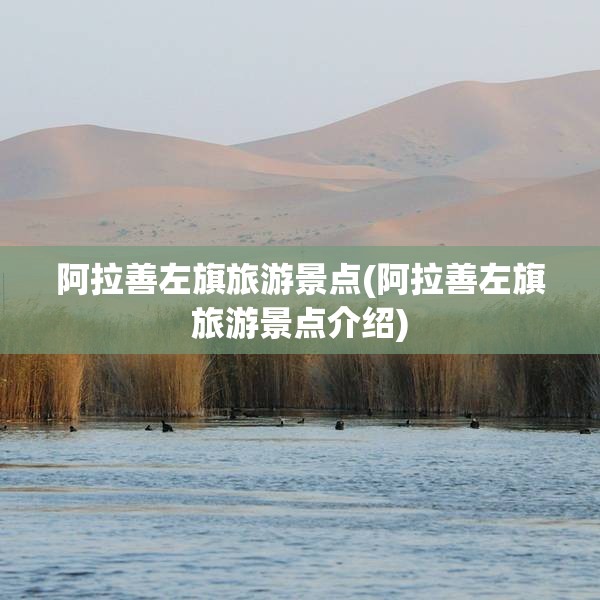 阿拉善左旗旅游景点(阿拉善左旗旅游景点介绍) 阿拉善左旗旅游景点(阿拉善左旗旅游景点介绍)