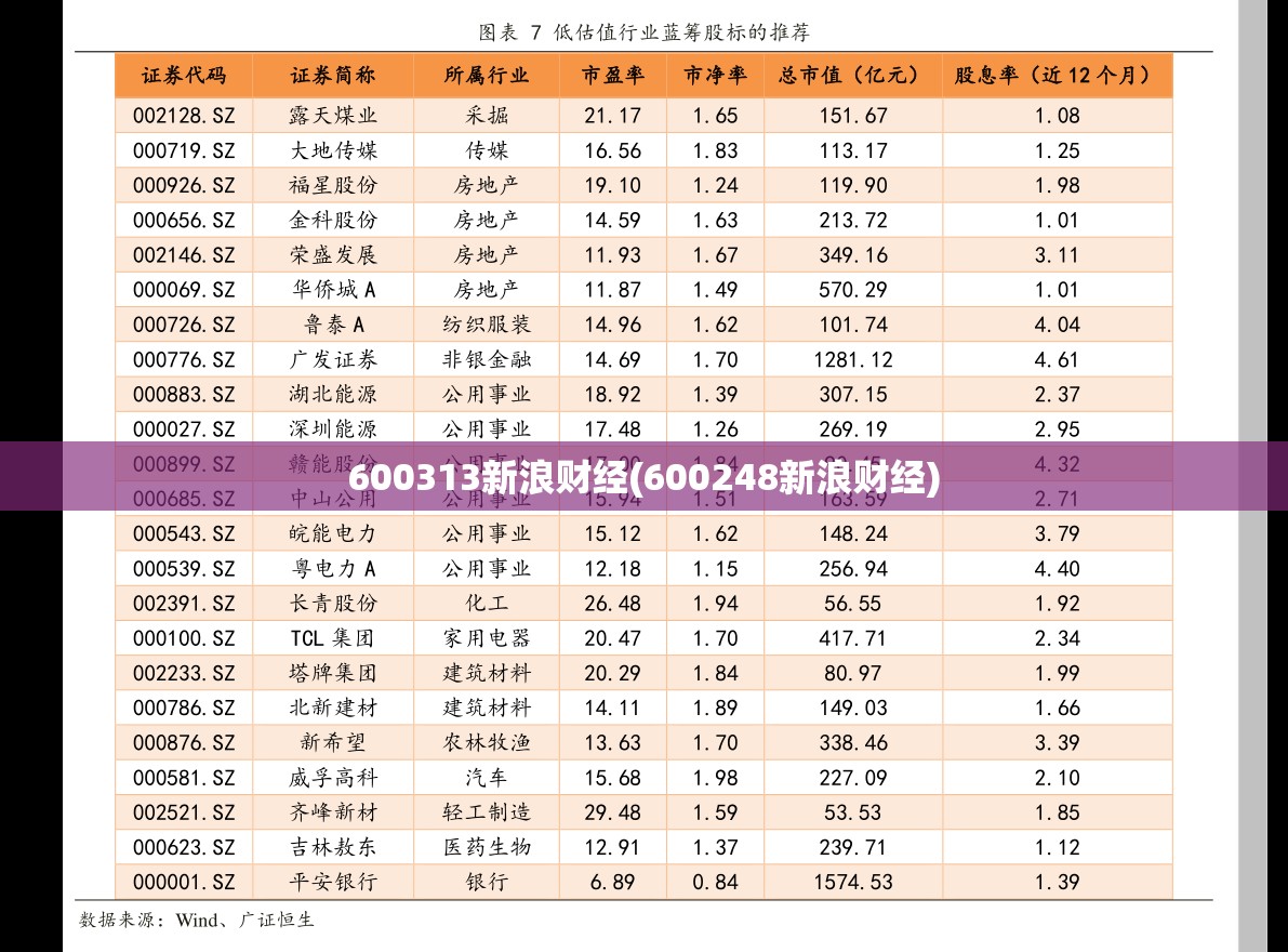 600313新浪财经(600248新浪财经) 600313新浪财经(600248新浪财经)